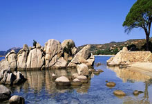 包含集结日体能课后，皇家马德里主帅复盘备战CBA季后赛，压力陡增，阵容厚度经受考验的词条-乐竞体育登录